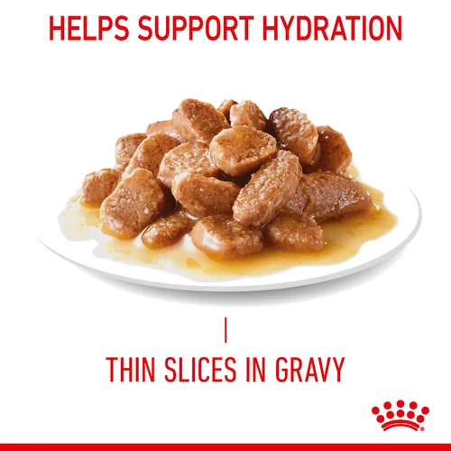 Royal Canin CAT (FCN) Urinary Care Adult (Gravy) 加護系列 成貓泌尿道加護主食濕糧(肉汁)(3107000) 85g X 12 原盒 (原裝行貨)